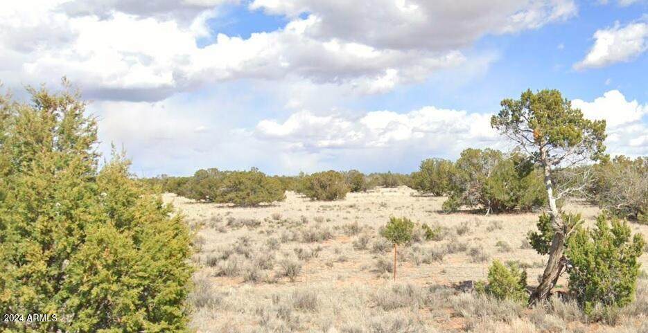 33XXX Us Highway 180 - Photo 1