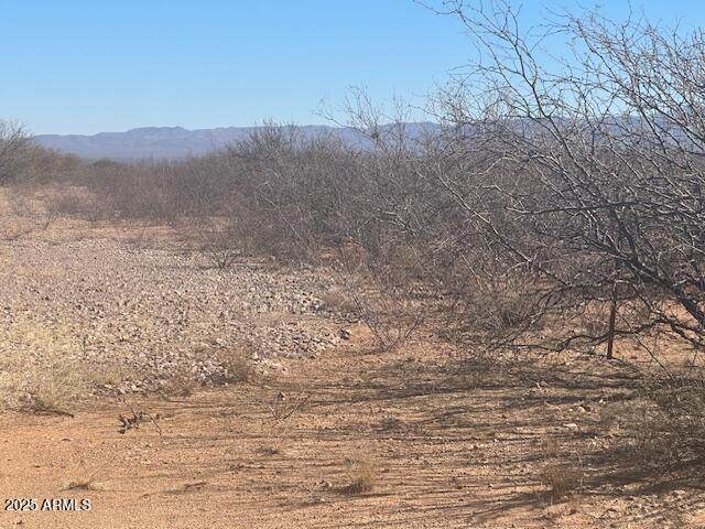 TBD 6 Ac's On Hwy 90 - Photo 1