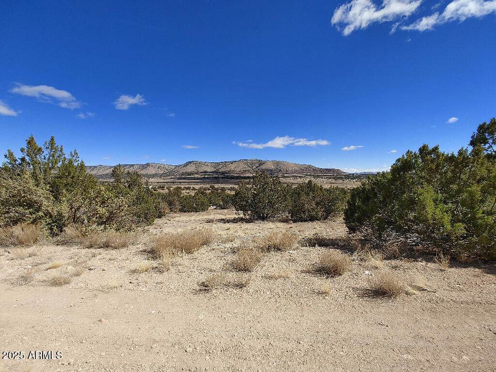54870 Paintbrush Lane - Photo 1