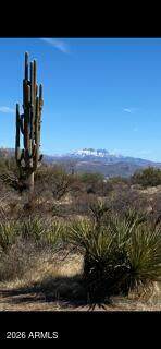 14027 Hawknest Road - Photo 11