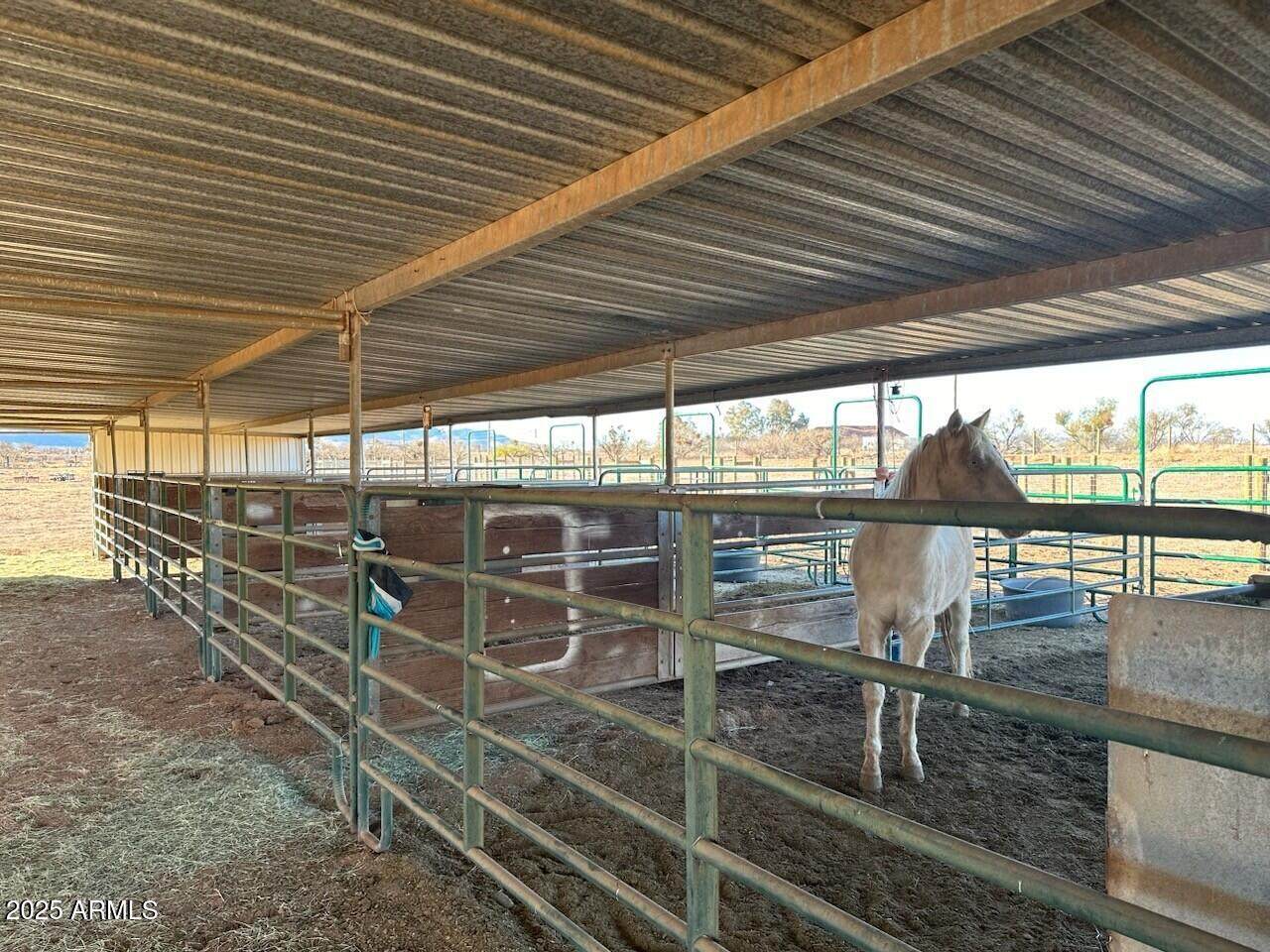 5706 Kino Road - Photo 1