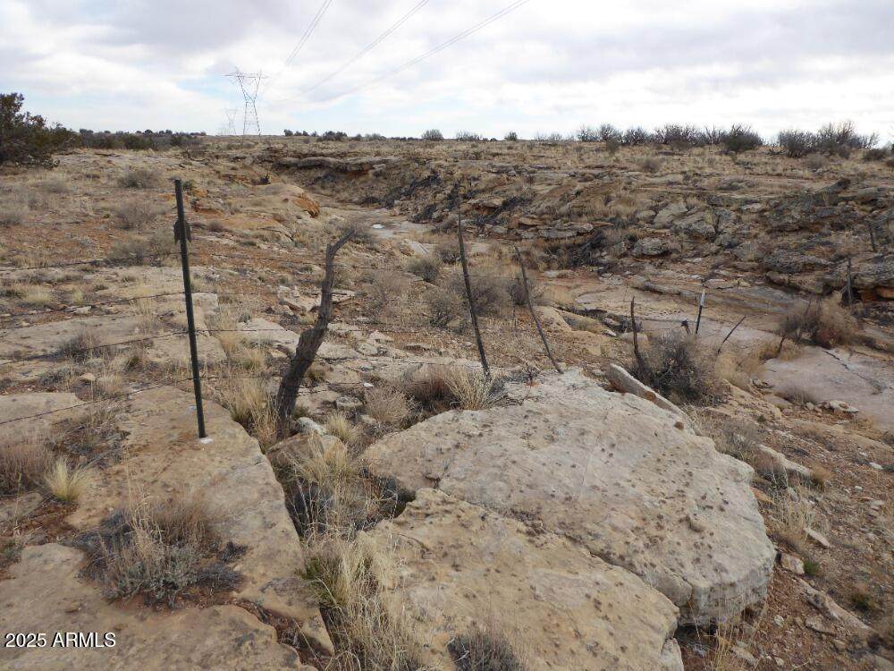 Lot 301 Chevelon Canyon Ranch - Photo 1