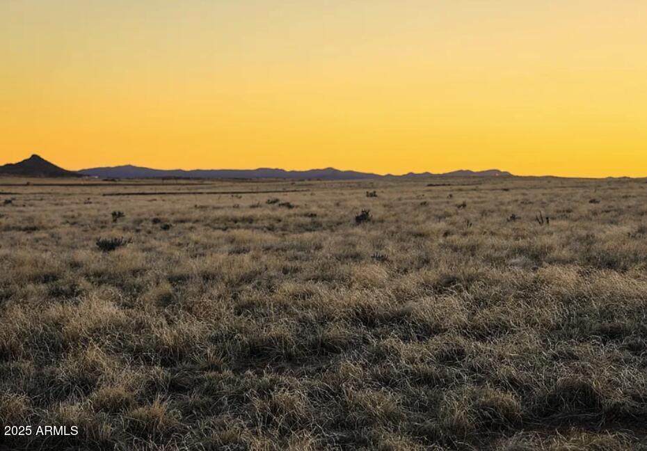 C1 Copperfield Drive - Photo 1