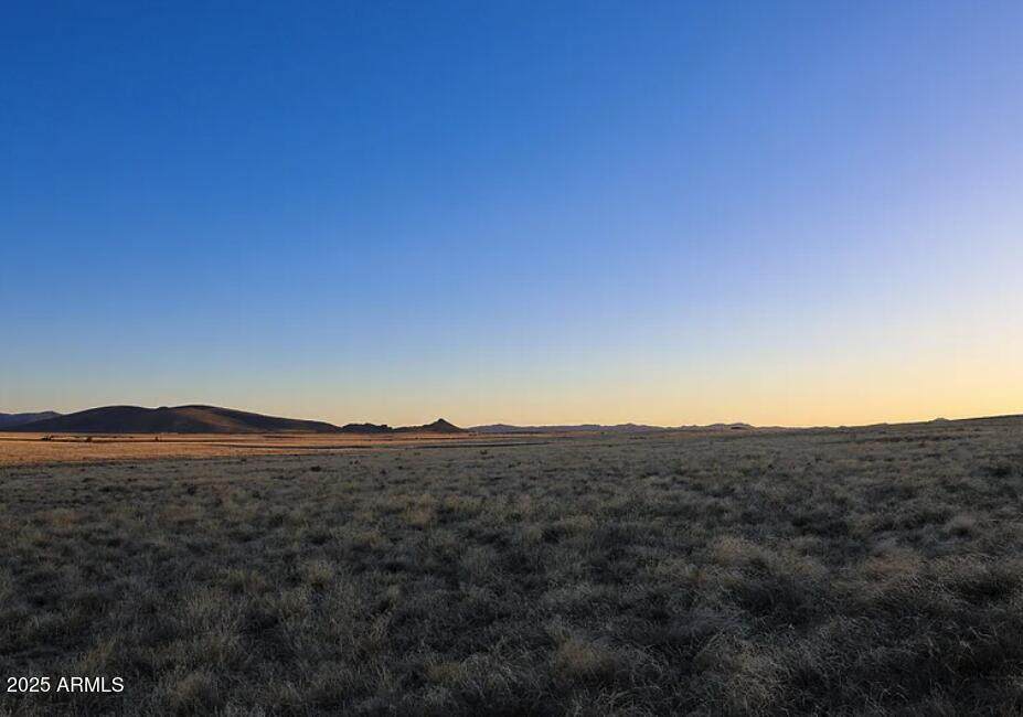 C2 Copperfield Drive - Photo 1