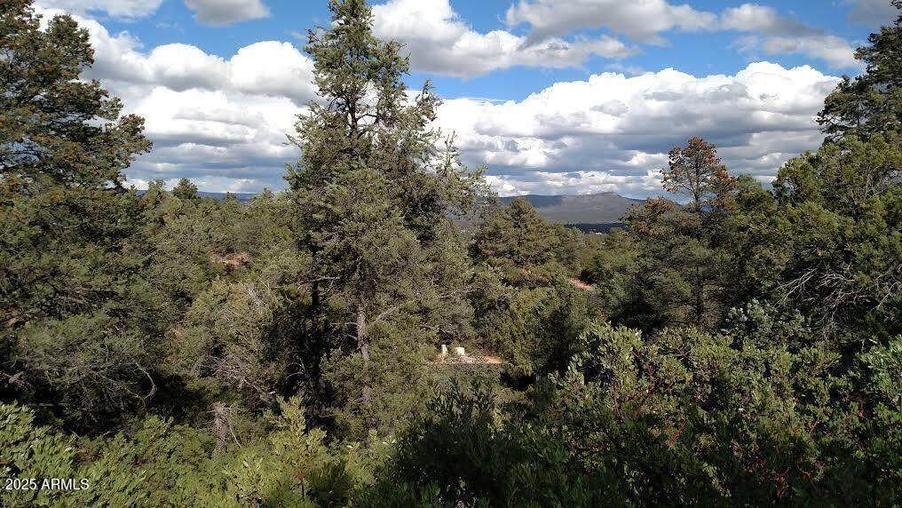 2311 Feather Plume Lane - Photo 1