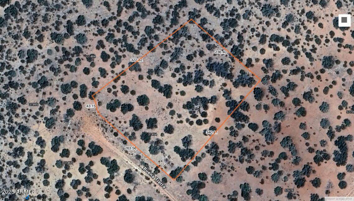 31454 Buena Tierra Parkway - Photo 1