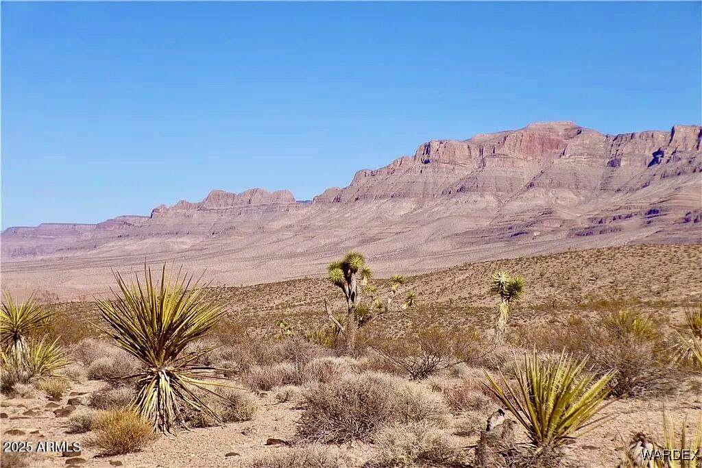 258 Mohave Lane - Photo 1