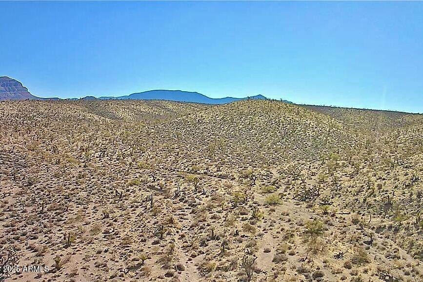 217 Cottonwood Avenue - Photo 1