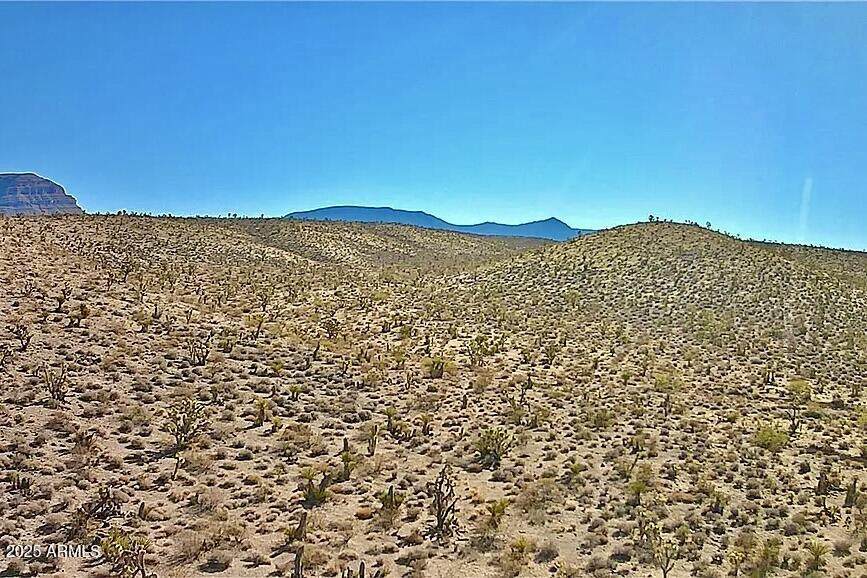 218 Cottonwood Avenue - Photo 1