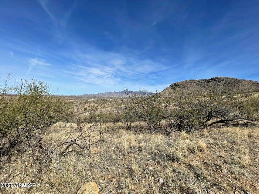 404 Calle Marinero - Photo 1