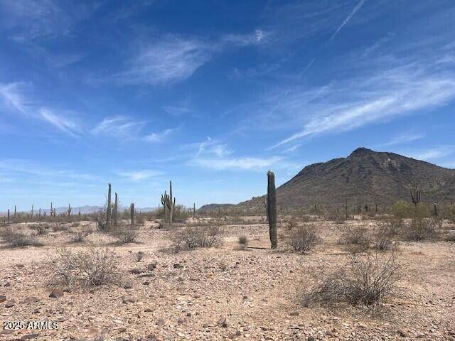 NNEC 391st Mountain View Road - Photo 1