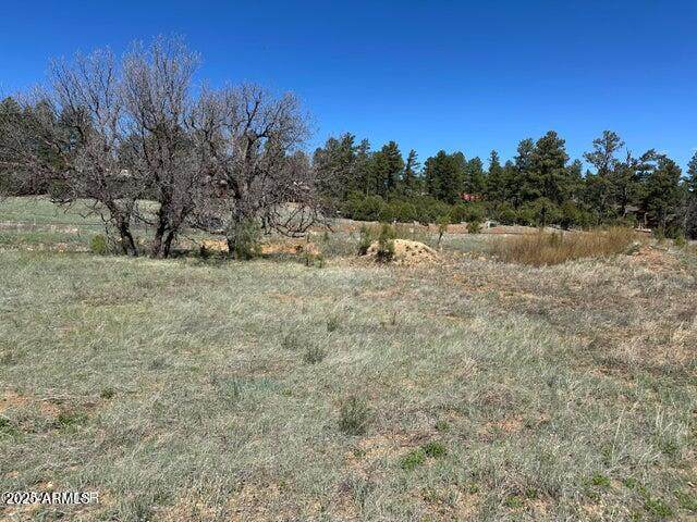 1301 Lakeside Trail - Photo 1