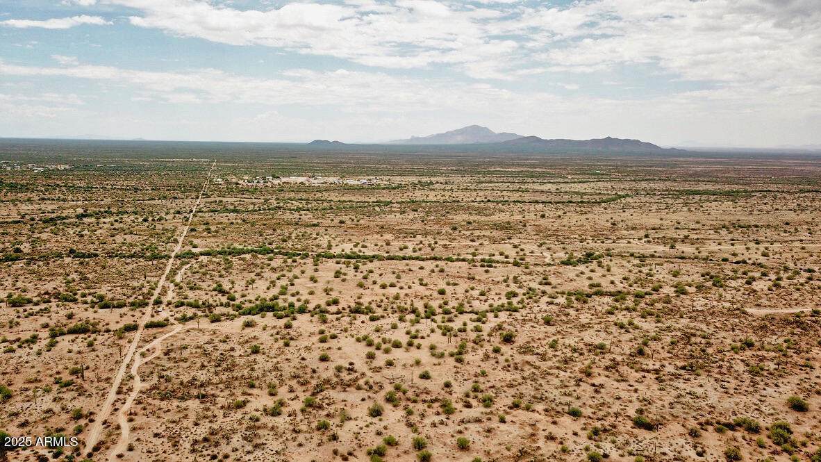 0 Cactus Forest Rd & Wildwood Rd - Photo 1