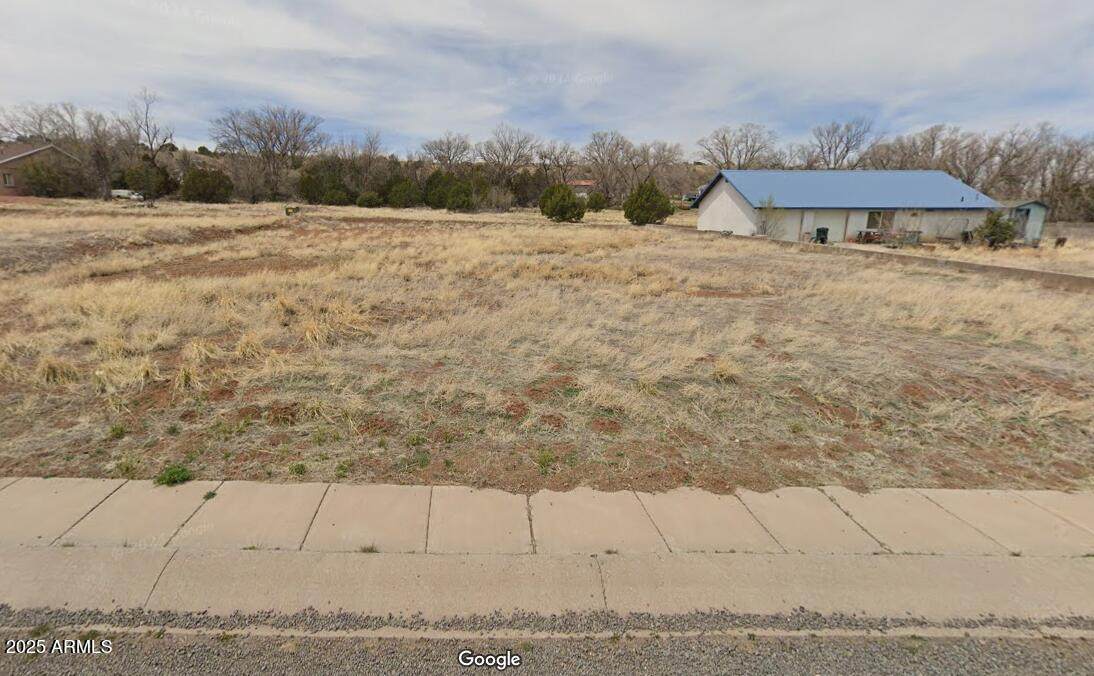 003 Susie Lane - Photo 1