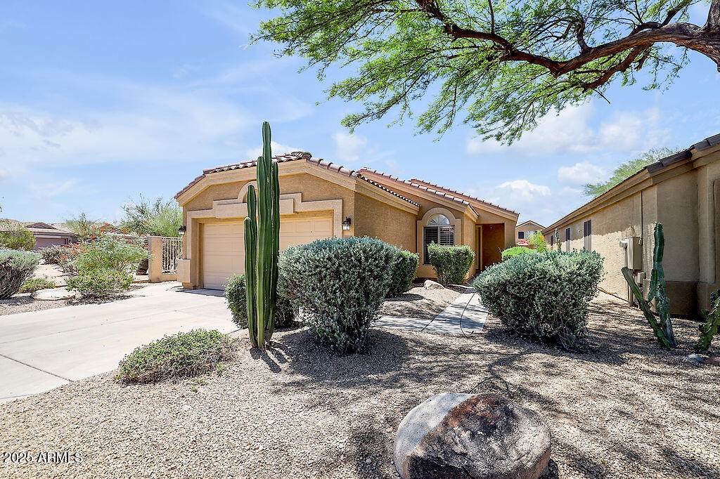4327 Desert Sky Court - Photo 1