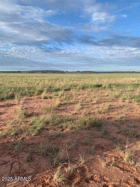 TBD 45 ACRES - Photo 1
