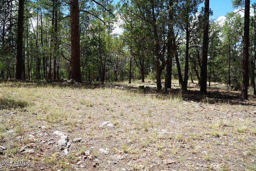 283 Lookout Trail - Photo 1