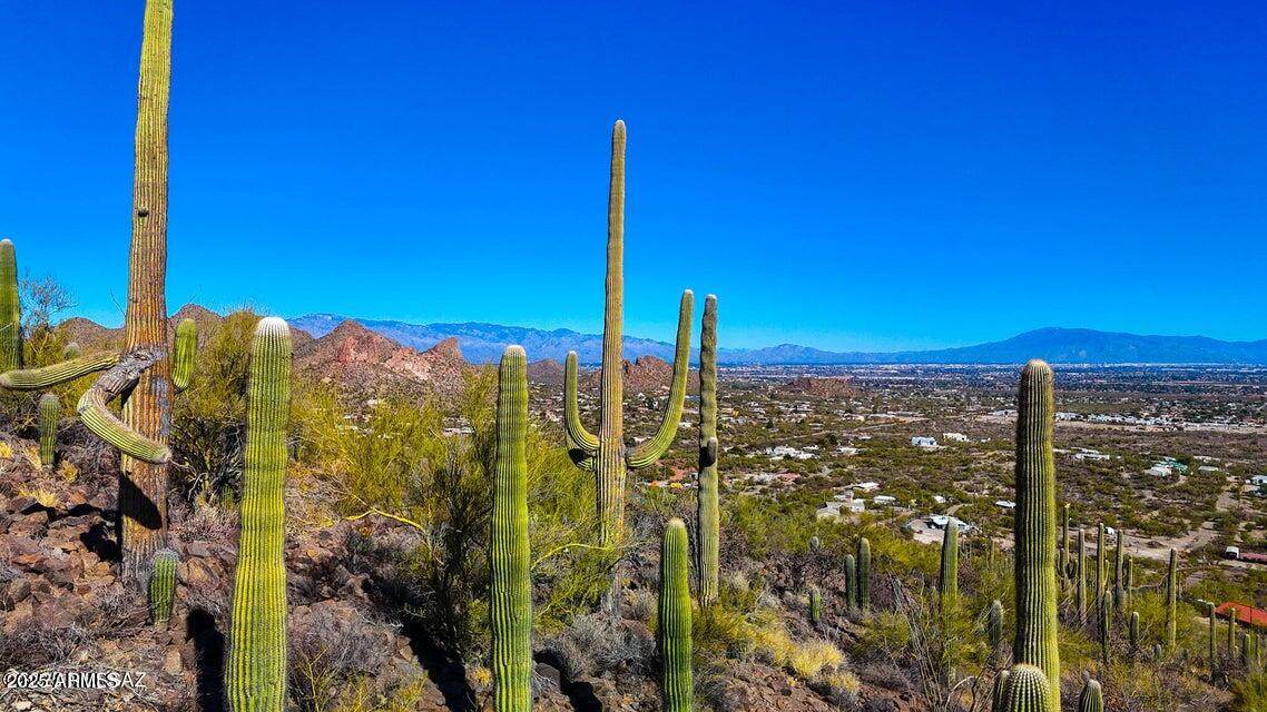 TBD Villa Sueno Lejos 10 Acres - Photo 1