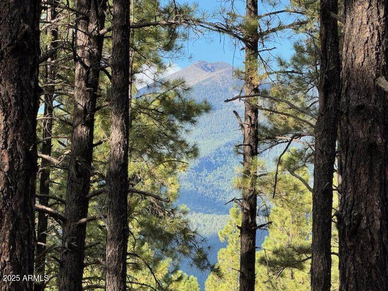 9285 Coyote Pass - Photo 1