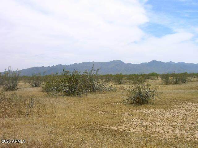 23424(apx) Jomax Road - Photo 1