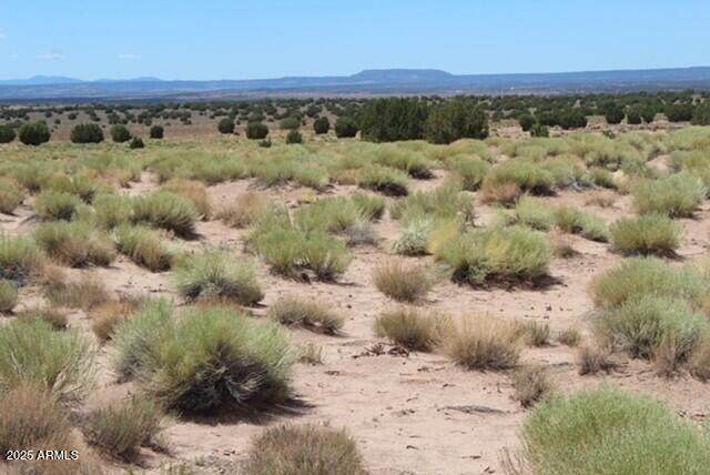 N9343 N9343 - Photo 1