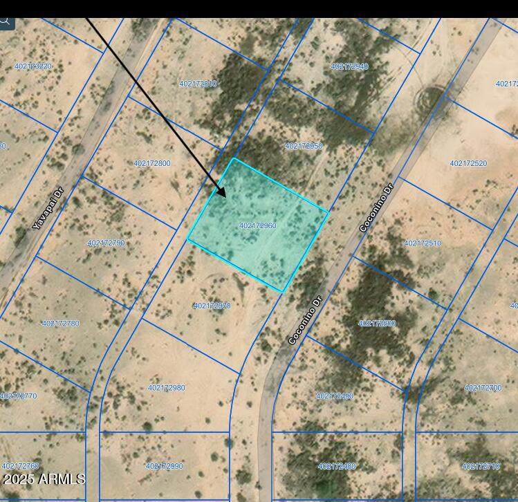 5050 Coconino Drive - Photo 1