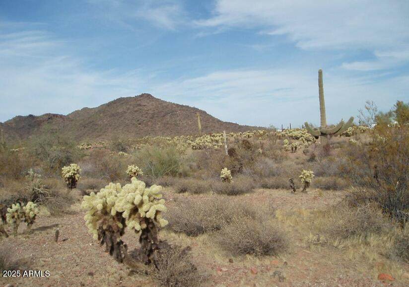 29980 Restin Road - Photo 1