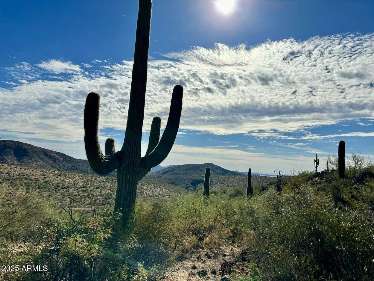 00000 Burro Pass Road - Photo 1
