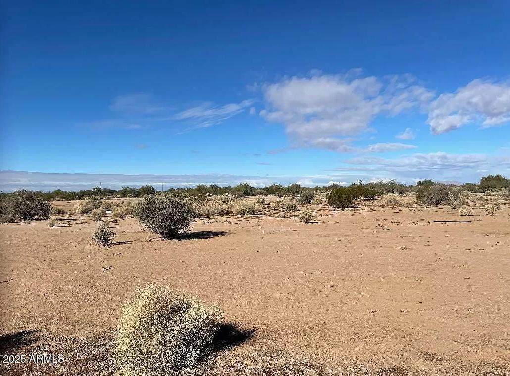 2825 Monroe Drive - Photo 1