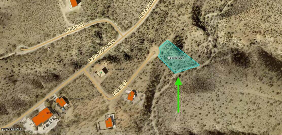 1610 Tigre Court - Photo 1