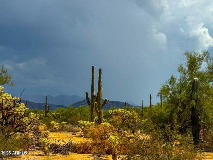 0 Twin Hawk Lot #5 10 Acres - Photo 1