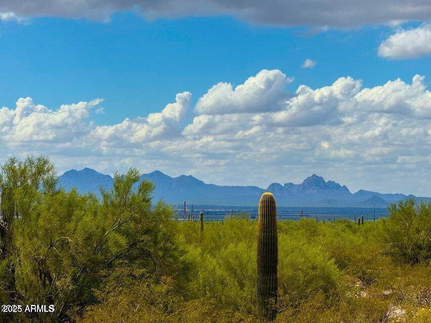 0 Twin Hawk Ln Lot #2  10 Acres - Photo 1