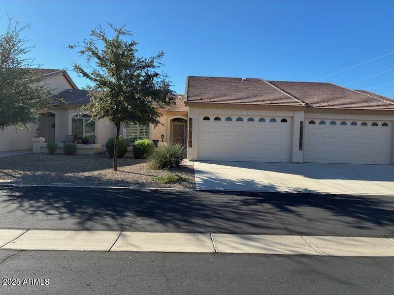 10960 Monte Avenue - Photo 1