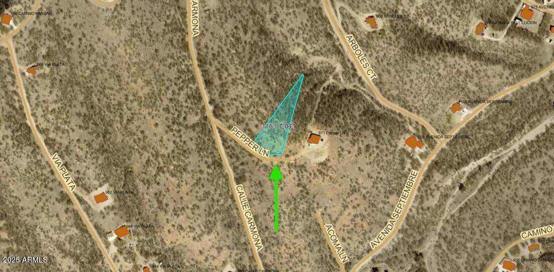 967 Pepper Lane - Photo 1