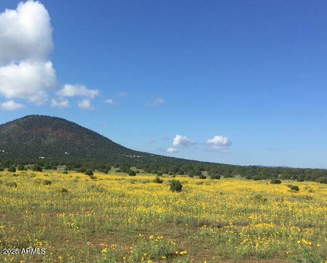 7065 Tulip Trail - Photo 1