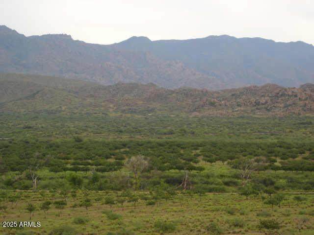 8 Highway 62 (Date Creek) Road - Photo 1