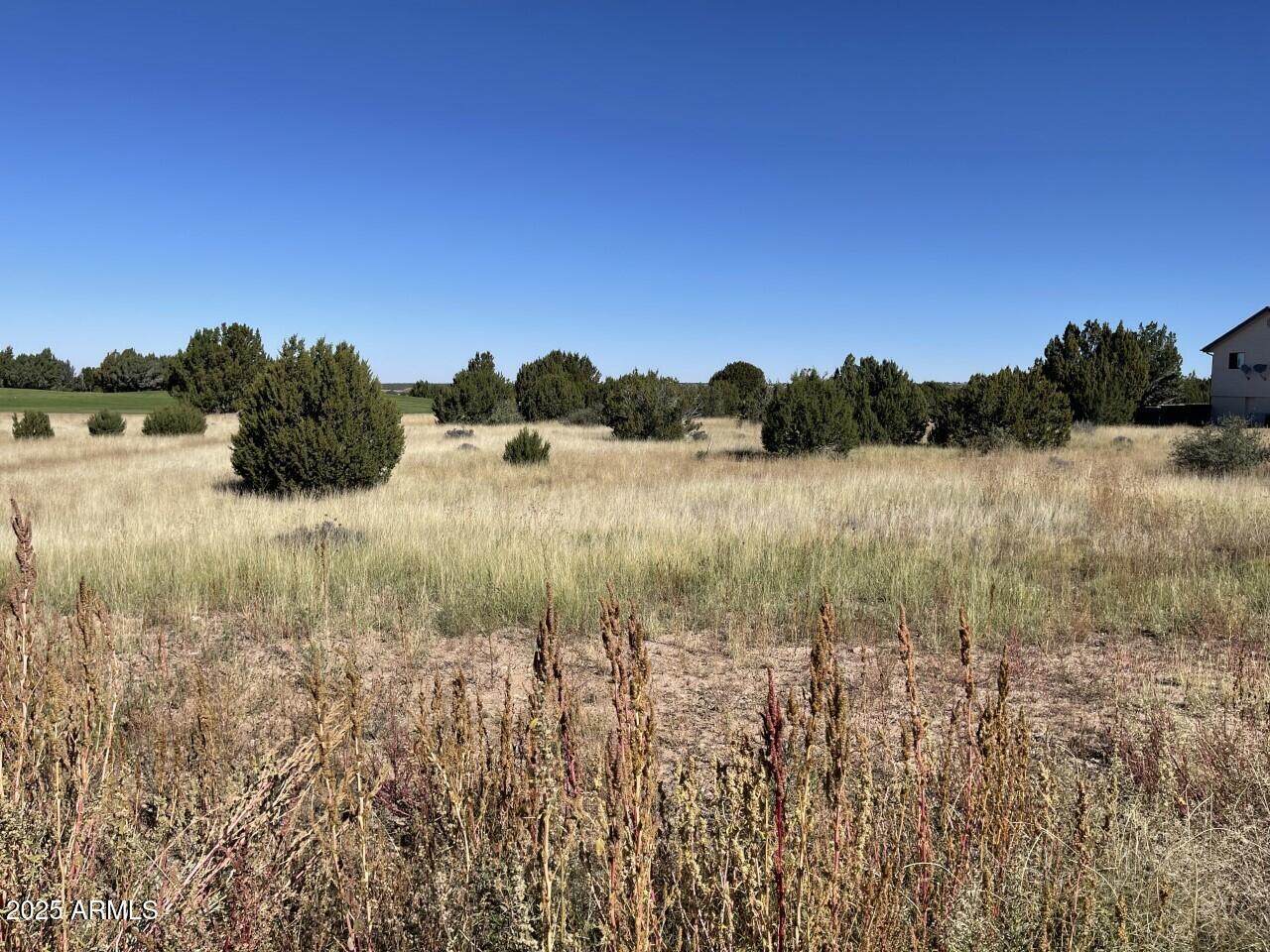 1951 Creekside Circle - Photo 1