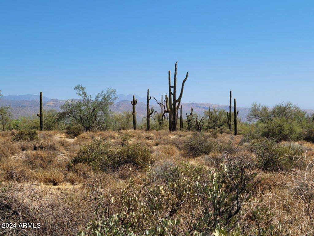 17XXX Gloria Lane - Photo 1