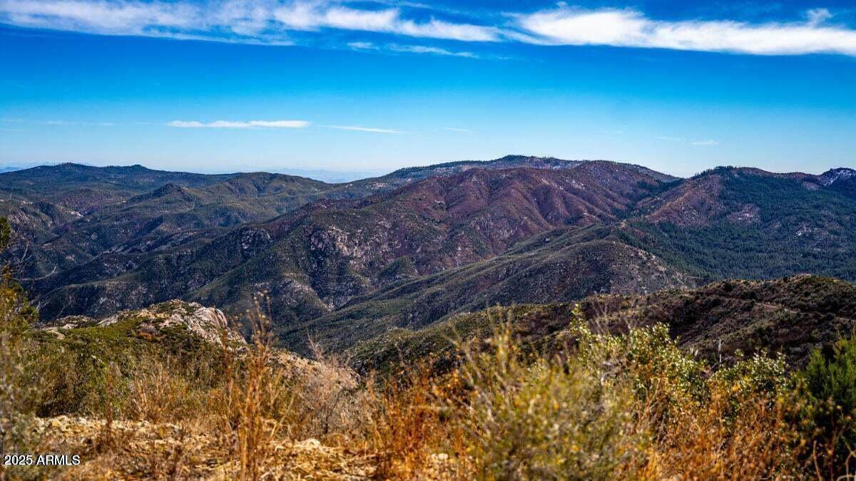 0 Lincoln Ridge Rd Lots G&J 4 Ac - Photo 1