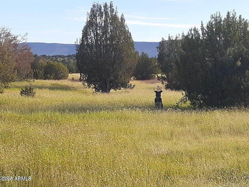 32018 Calle Ines Parkway - Photo 1