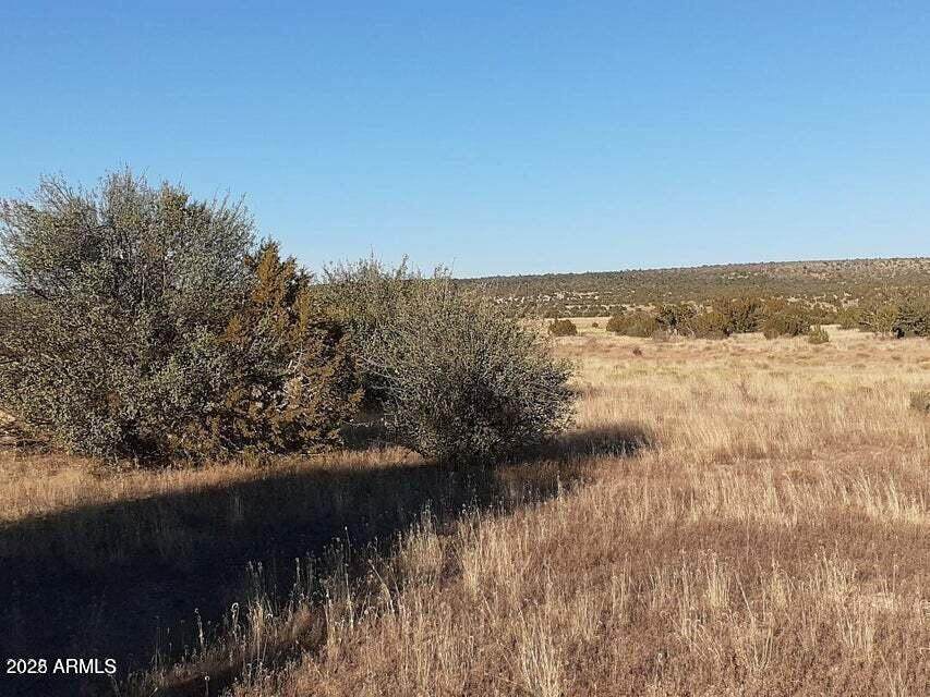 602 Denny 5 Road - Photo 1