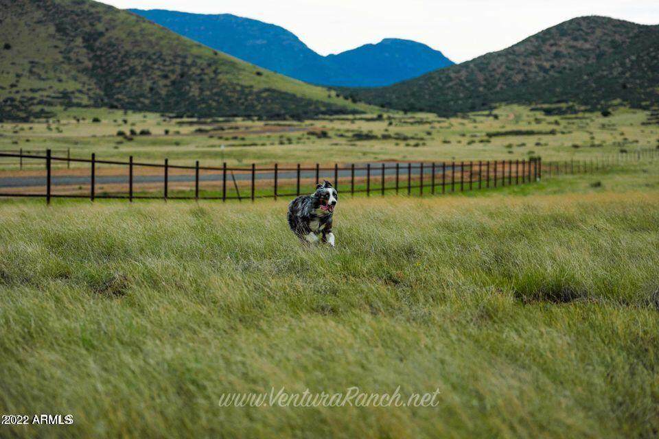 10221 Ventura Way - Photo 1