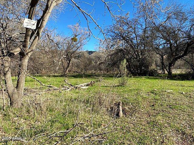 0 Tonto Creek Drive - Photo 1