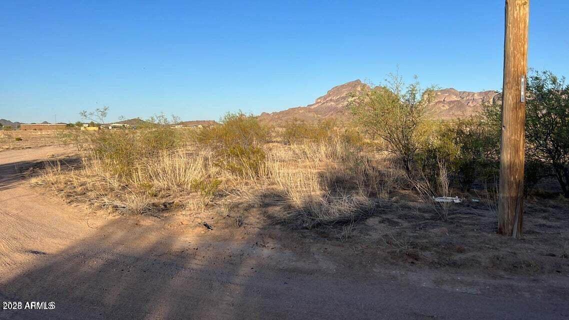 0 Portland Street - Photo 1