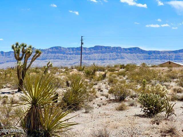 30390 Dutton Drive - Photo 1