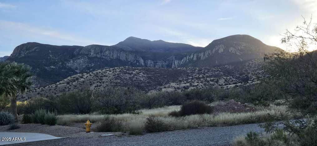 1.25 Acres Emma Lane Lot 1 - Photo 1