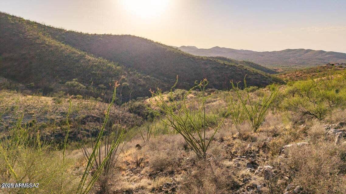TBD Sonoita Hwy 10 Acres - Photo 1