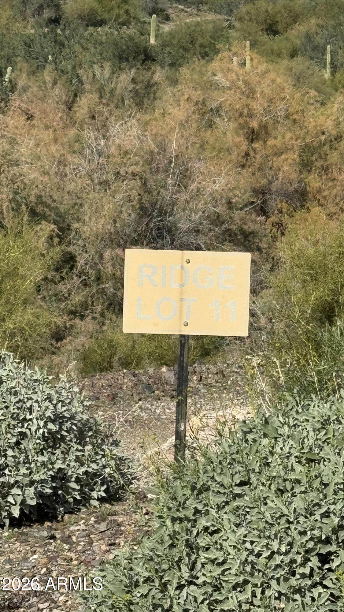 39688 Serene Ridge - Photo 1