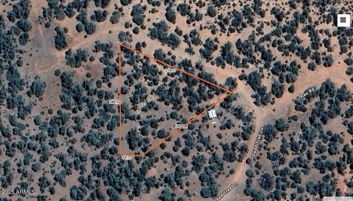 42XXX Dead Tree Road - Photo 1