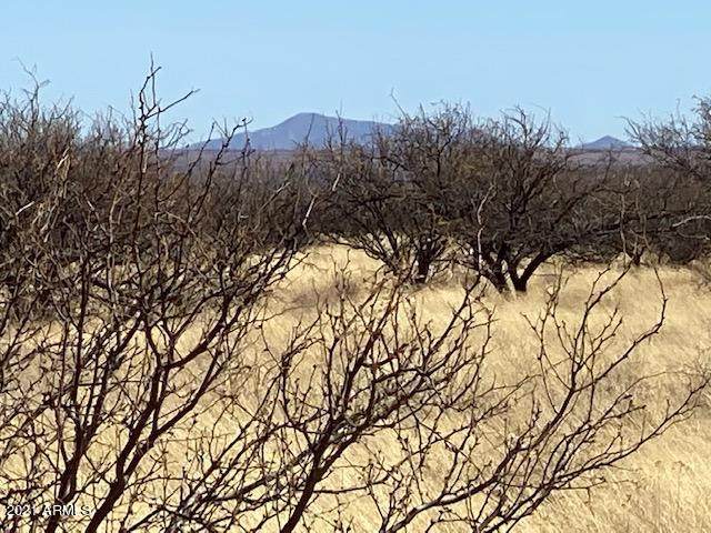 TBD Calle Mia Road - Photo 1